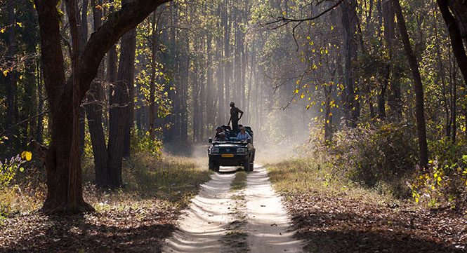 best resort in Kanha