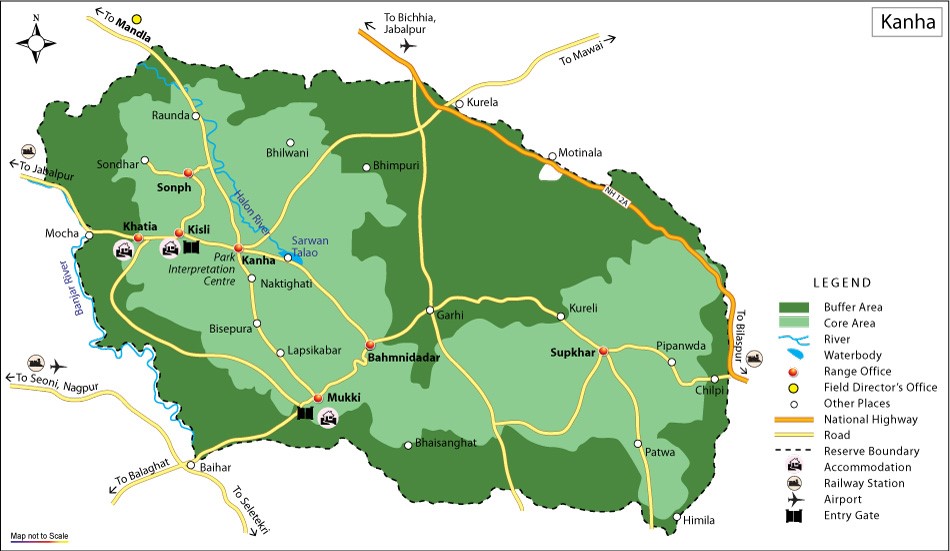 Jungle Safari L Game Drive L Kanha National Park L Kanha Jungle Camp