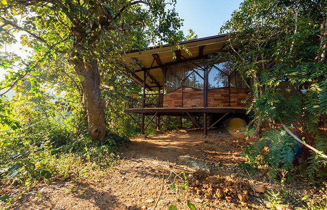 tiger safari in Kanha